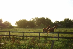 Atardeceres en la estancia