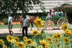 paseos estancia san antonio de areco